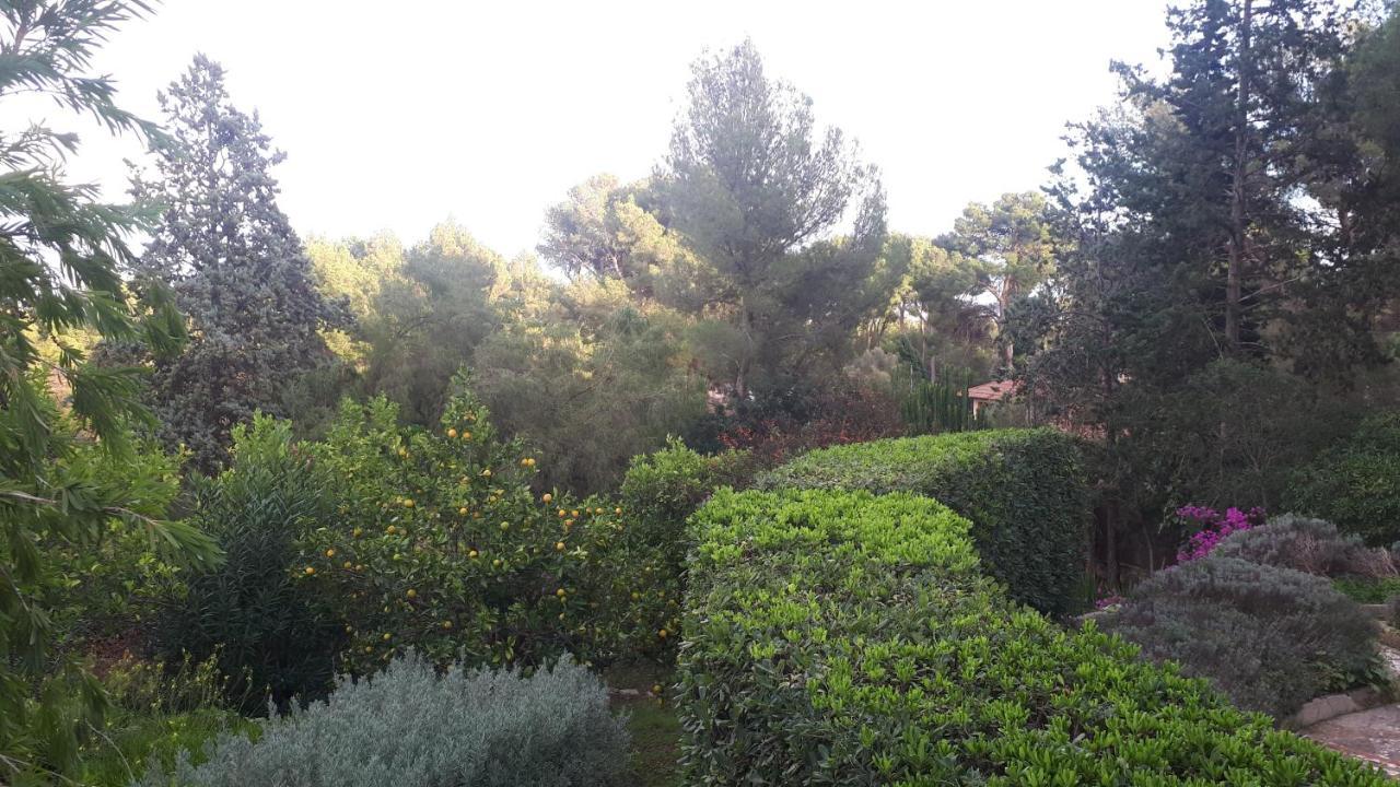 Casa De Las Vistas Πάλμα ντε Μαγιόρκα Εξωτερικό φωτογραφία