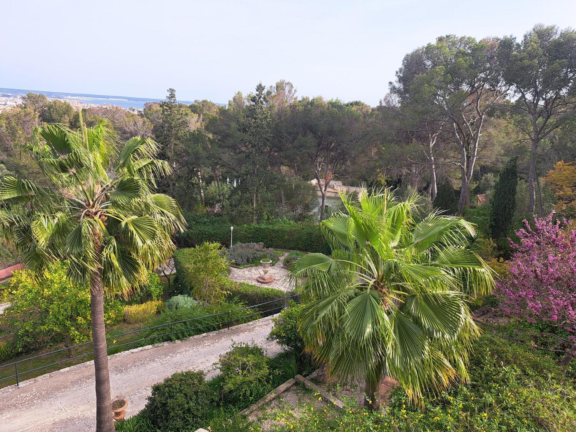 Casa De Las Vistas Πάλμα ντε Μαγιόρκα Εξωτερικό φωτογραφία