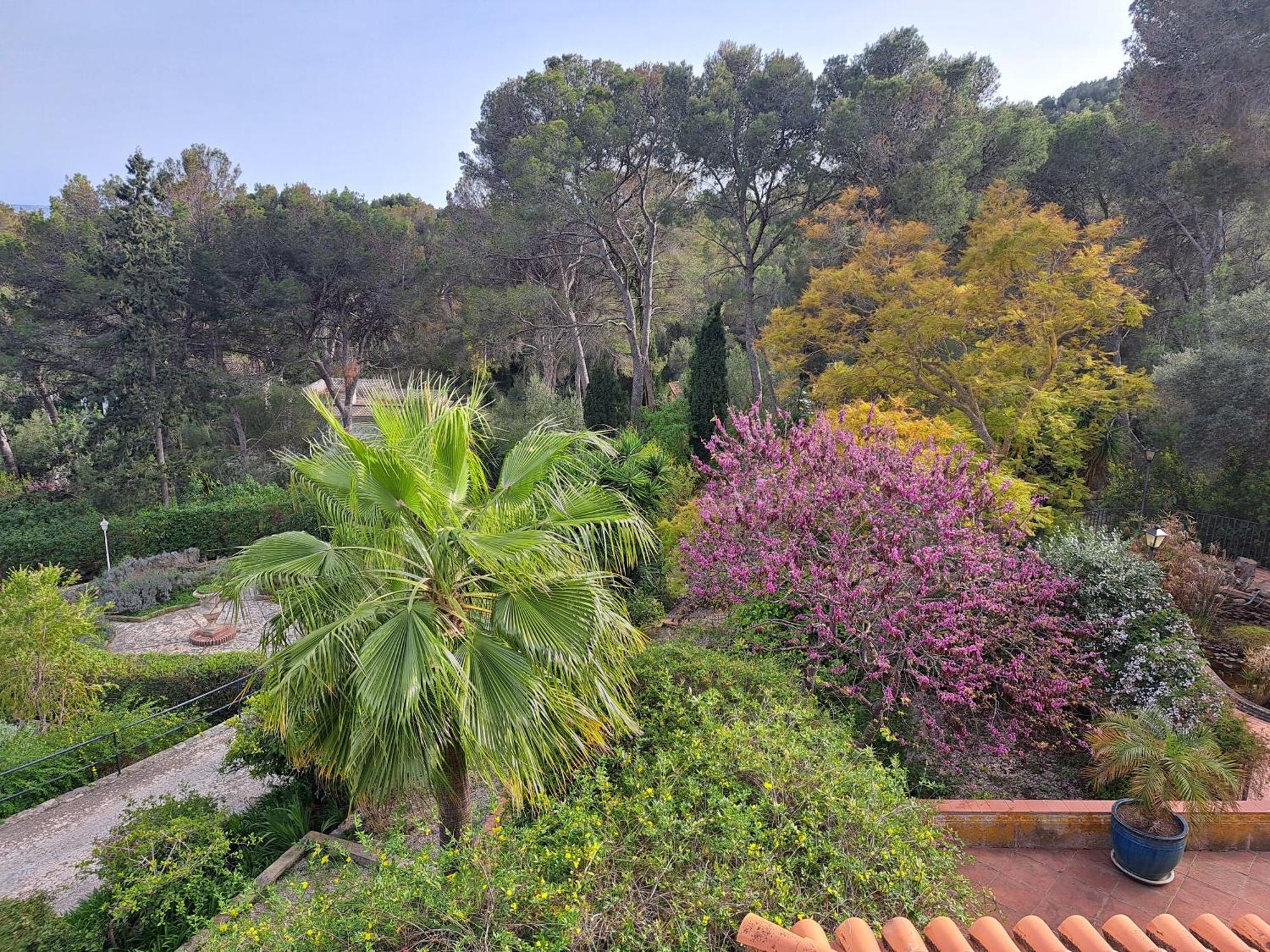 Casa De Las Vistas Πάλμα ντε Μαγιόρκα Εξωτερικό φωτογραφία