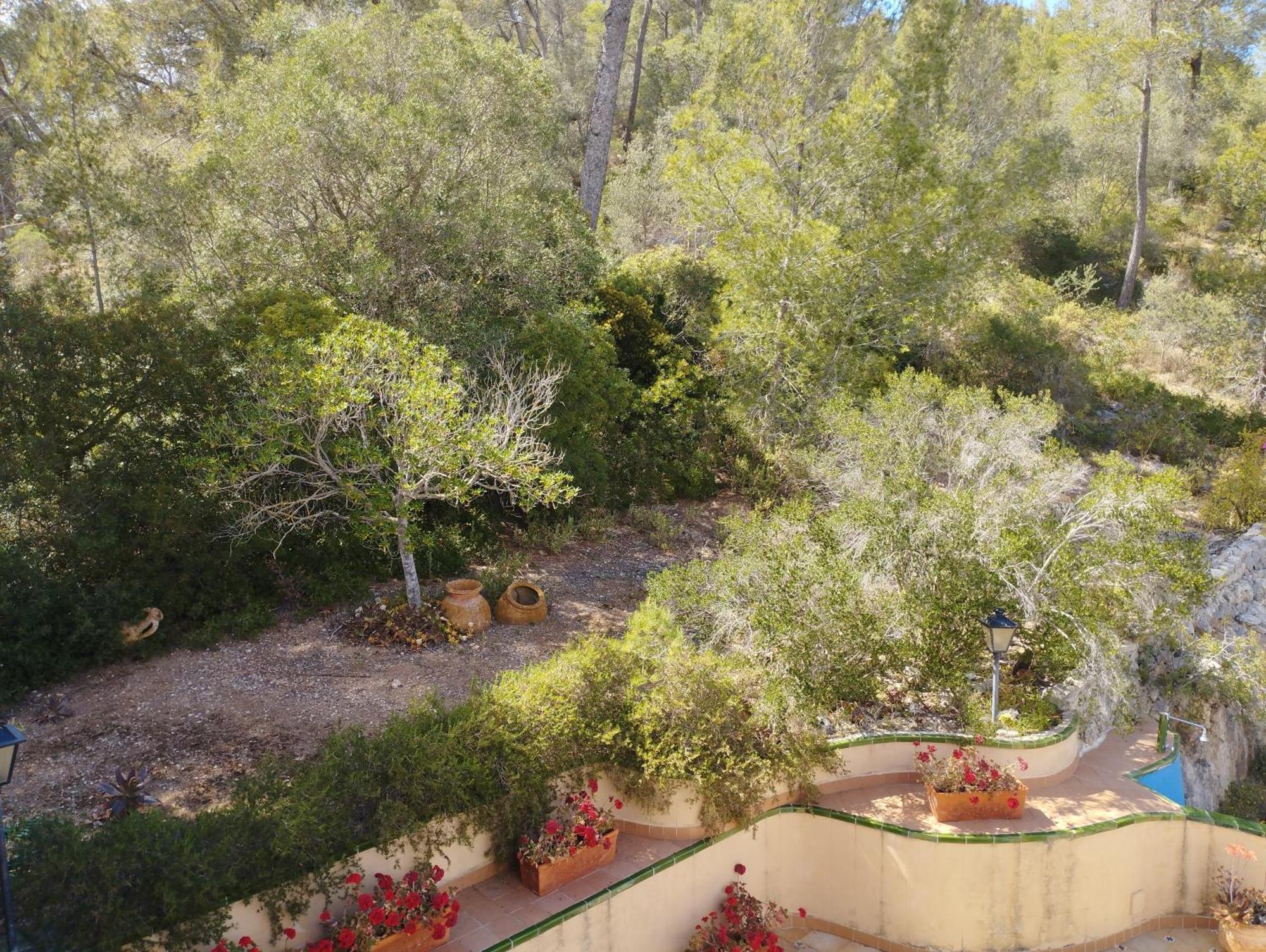 Casa De Las Vistas Πάλμα ντε Μαγιόρκα Εξωτερικό φωτογραφία
