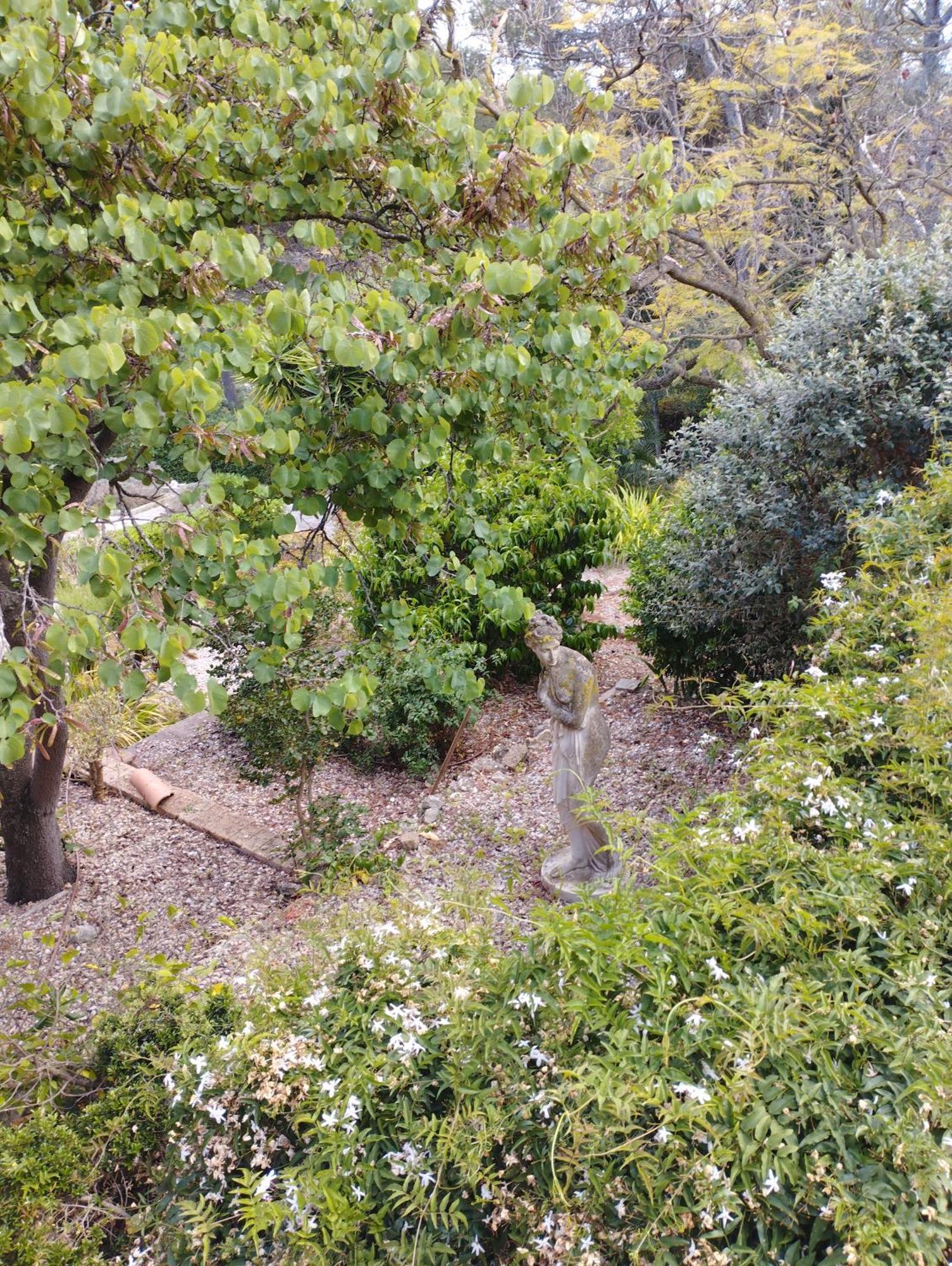 Casa De Las Vistas Πάλμα ντε Μαγιόρκα Εξωτερικό φωτογραφία