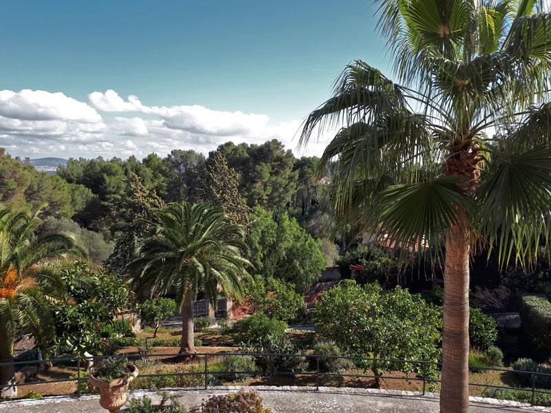 Casa De Las Vistas Πάλμα ντε Μαγιόρκα Εξωτερικό φωτογραφία